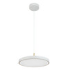 LED Полилей ZAMBELIS 25146 PENDANT LED LIGHT 17W 3000K WHITE MATT - BRUSHED BRASS | Osvetlenieto.bg