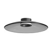 LED Плафон ZAMBELIS 25269 CEILING LED LIGHT 30W 2700K-3000K TRIAC BLACK MATT - SMOKED GLASS | Osvetlenieto.bg
