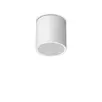 Външен плафон TECHO PL1 D15 ROUND BIANCO 342689 Ideal Lux 1xGU10 IP54 | Osvetlenieto.bg