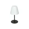 Външна настолна лампа ARCADIA TL1 ANTRACITE 298597 Ideal Lux 1xE27 IP44 | Osvetlenieto.bg