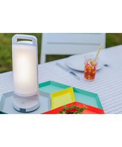 Соларна лампа DRAGONFLY Lutec LED 1.2W IP54 6904101331 | Osvetlenieto.bg