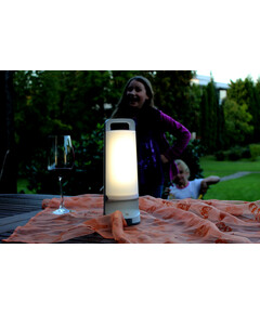 Соларна лампа DRAGONFLY Lutec LED 1.2W IP54 6904101337 | Osvetlenieto.bg