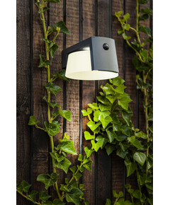 Соларна лампа MOON PIR сензор Lutec LED 9.5W IP44 6906001118 | Osvetlenieto.bg