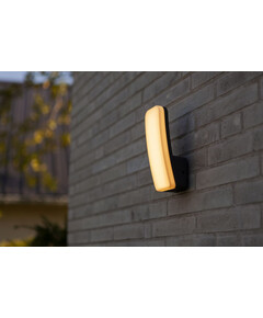 Фасаден аплик KITE Lutec LED 8.8W IP54 5203301345 | Osvetlenieto.bg