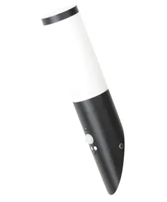 Фасаден аплик със сензор за движение Black torch 8146 Rabalux 1xE27 | Osvetlenieto.bg