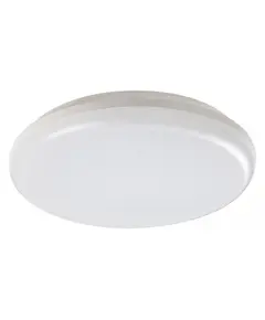 LED Външен плафон Eric 7979 Rabalux 24W 4000K IP64 | Osvetlenieto.bg