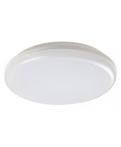 LED Външен плафон Eric 7979 Rabalux 24W 4000K IP64 | Osvetlenieto.bg