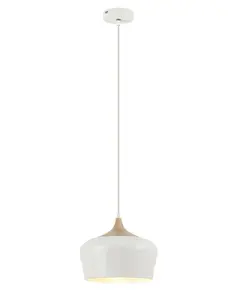 Пендел Sadie 2563 Rabalux 1xE27 | Osvetlenieto.bg