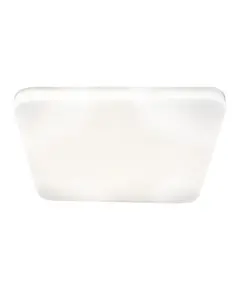 LED Плафон LUCAS 3074 Rabalux 24W 4000K | Osvetlenieto.bg