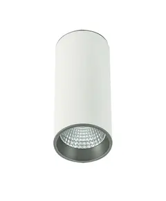 Луна за открит монтаж Moldes Big SLC7392/12W 4000K WH+GR Italux | Osvetlenieto.bg