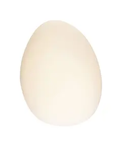 LED Аплик ZAMBELIS 20136 WALL LAMP GLASS & IRON WHITE 5W 3000K | Osvetlenieto.bg