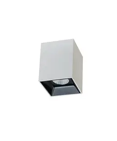 LED Луна за открит монтаж ZAMBELIS S068 CEILING LIGHT LAMP COLOR WHITE 10W 3000K | Osvetlenieto.bg