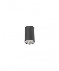 Луна за открит монтаж AXIS 01-2148 Smarter 1xGU10 | Osvetlenieto.bg