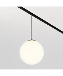 LED Пендел магнитна шина Exility TR039-2-5W3K-1 Maytoni 5W 3000K | Osvetlenieto.bg