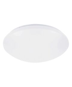 LED Външен плафон LUCAS 71132 Rabalux 12W 4000K | Osvetlenieto.bg