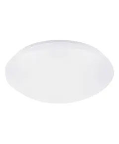 LED Външен плафон LUCAS 71132 Rabalux 12W 4000K | Osvetlenieto.bg