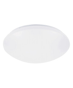 LED Външен плафон LUCAS 71132 Rabalux 12W 4000K | Osvetlenieto.bg