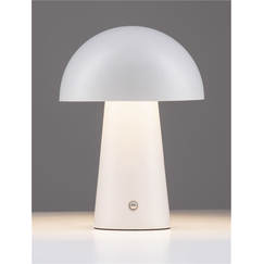 LED Настолна лампа ANDE 9050176 NovaLuce 2W 3000K | Osvetlenieto.bg
