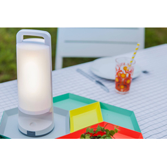 Соларна лампа DRAGONFLY Lutec LED 1.2W IP54 6904101331 | Osvetlenieto.bg