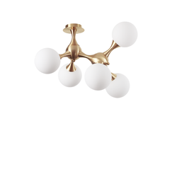 Плафон NODI PL5 OTTONE 241050 Ideal Lux 5xE14 | Osvetlenieto.bg