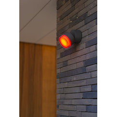 Фасаден аплик DROPSI Lutec LED 9.5W IP44 5010901118 | Osvetlenieto.bg