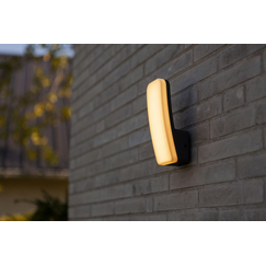 Фасаден аплик KITE Lutec LED 8.8W IP54 5203301345 | Osvetlenieto.bg
