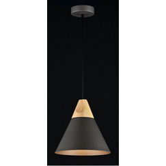 Пендел Bicones Maytoni P359-PL-220-C 1xE27 | Osvetlenieto.bg