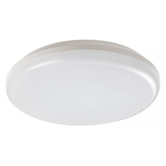 LED Външен плафон Eric 7979 Rabalux 24W 4000K IP64 | Osvetlenieto.bg