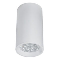 Луна за открит монтаж ZAMBELIS S002 ALUMINIUM WHITE 1xGU10 | Osvetlenieto.bg