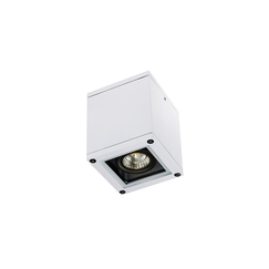 Външен плафон ZAMBELIS E270 CEILING LAMP ALUMINIUM WHITE 1xGU10 | Osvetlenieto.bg