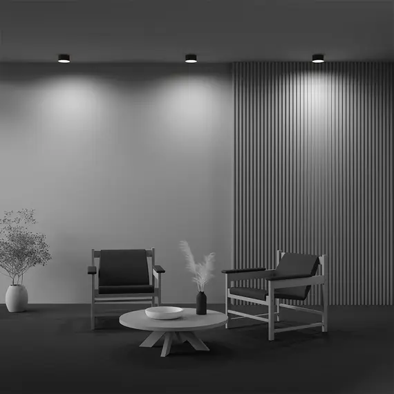 LED Плафон Zon C032CL-12W3K-RD-B Maytoni 12W 3000K | Osvetlenieto.bg