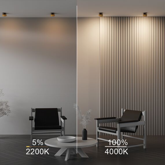 LED Спот за вграждане Onda DL024-12W-DTW-BMG Maytoni 12W 2200K-4000K IP20 | Osvetlenieto.bg