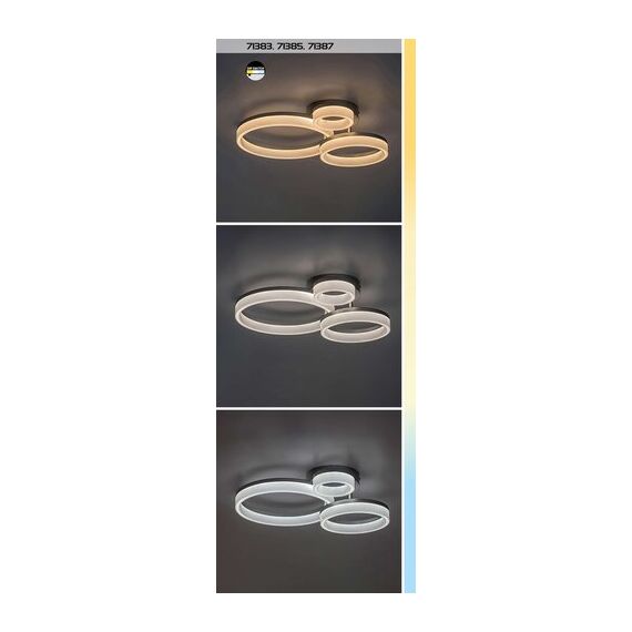 LED Плафон Amilia 71387 Rabalux 24W CCT 3000K-6500K | Osvetlenieto.bg