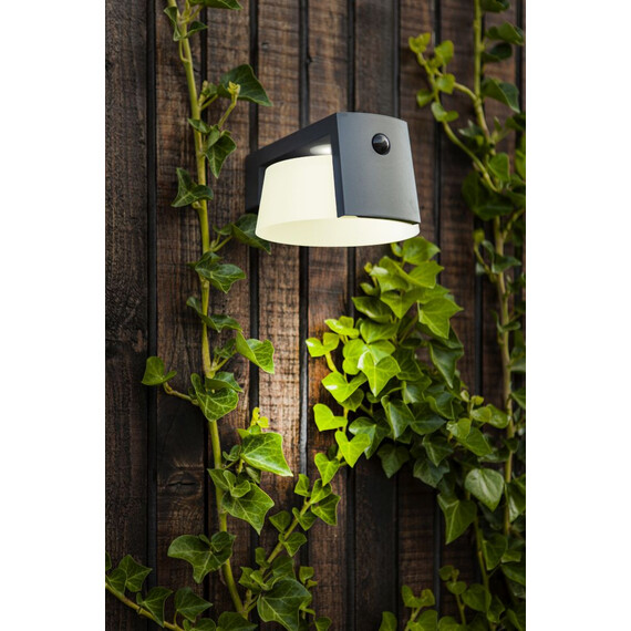 Соларна лампа MOON PIR сензор Lutec LED 9.5W IP44 6906001118 | Osvetlenieto.bg