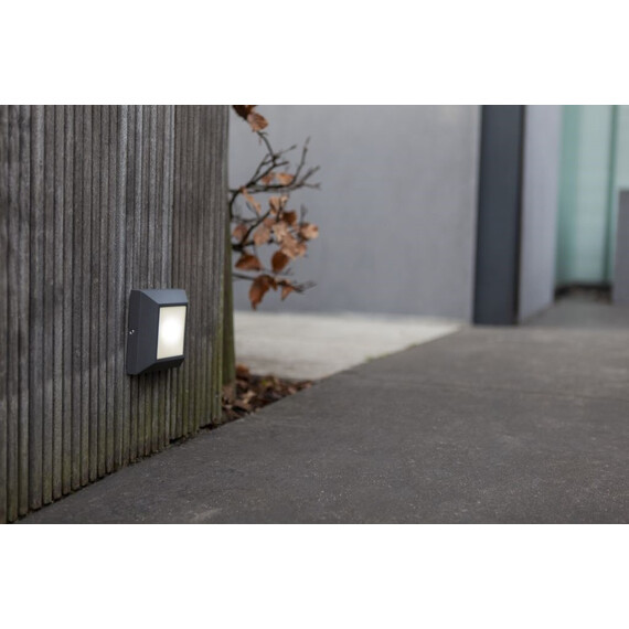 Фасаден аплик HELENA Lutec LED 4.5W IP54 6402101118 | Osvetlenieto.bg