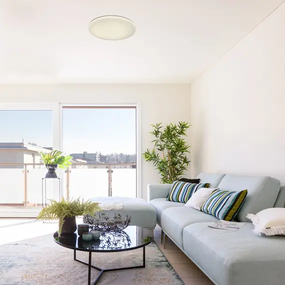 LED Плафон DANNY 5450 Rabalux 60W 3000K | Osvetlenieto.bg