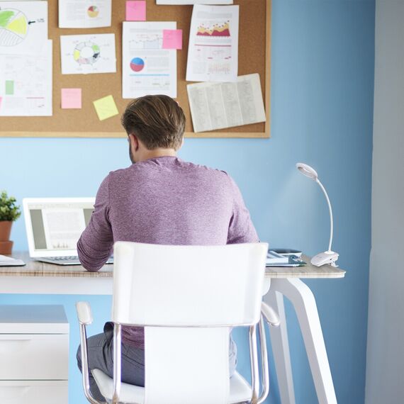 LED Работна лампа с щипка HARRIS 6448 Rabalux 4W 4000K | Osvetlenieto.bg