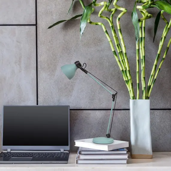 Работна лампа CARTER 6409 Rabalux 1xE14 | Osvetlenieto.bg