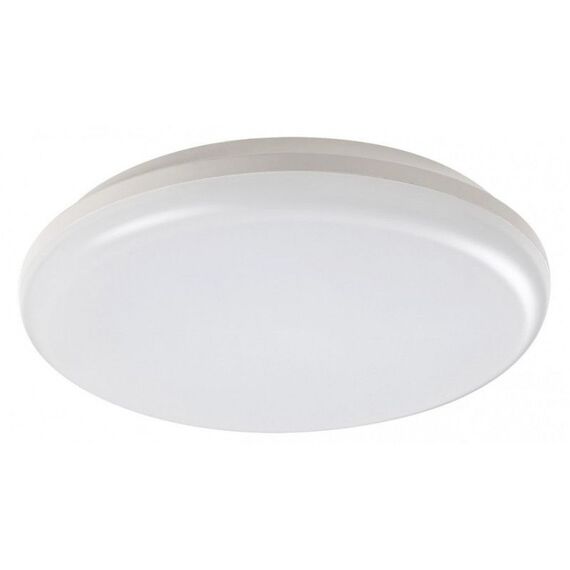 LED Външен плафон Eric 7979 Rabalux 24W 4000K IP64 | Osvetlenieto.bg