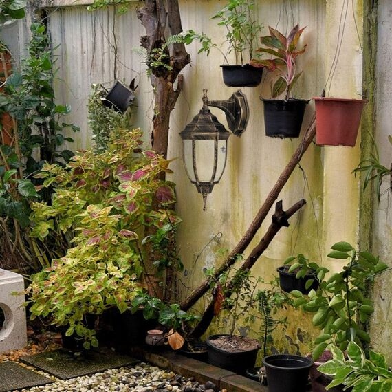 Градински аплик Nizza 8451 Rabalux 1xE27 | Osvetlenieto.bg