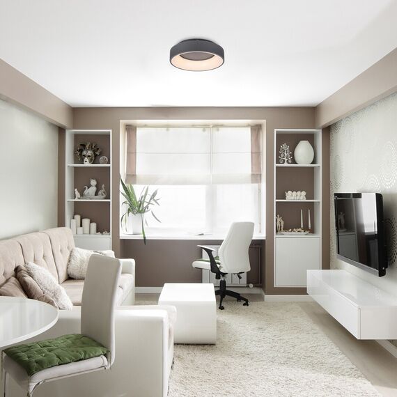 LED Плафон ADELINE 3928 Rabalux 24W 3000K-6000K | Osvetlenieto.bg