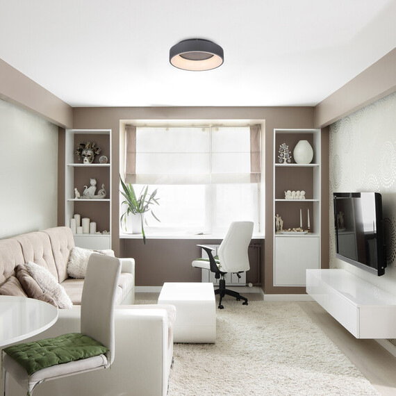 LED Плафон ADELINE 3928 Rabalux 24W 3000K-6000K | Osvetlenieto.bg