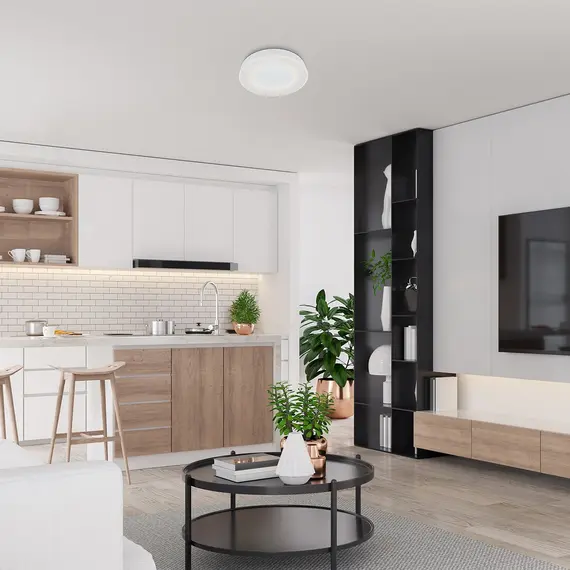 LED Плафон CEILO 3083 Rabalux 38W 3000K-6500К | Osvetlenieto.bg