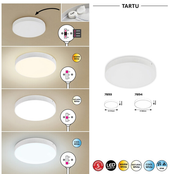 LED Фасаден плафон TARTU 7893 Rabalux 18W 2800K | Osvetlenieto.bg