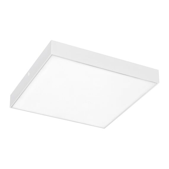 LED Фасаден плафон TARTU 7896 Rabalux 24W 2800K | Osvetlenieto.bg