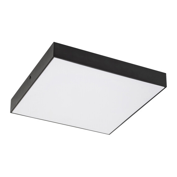 LED Фасаден плафон TARTU 7900 Rabalux 24W 2800K | Osvetlenieto.bg