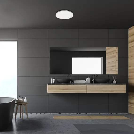 LED плафон за баня TOMA 3874 Rabalux 20W 4000K IP44 | Osvetlenieto.bg