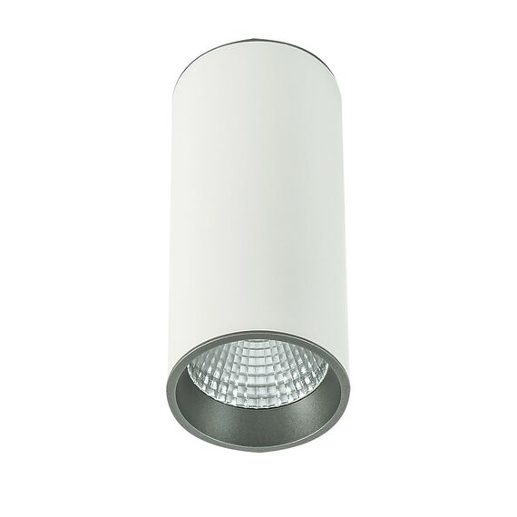 Луна за открит монтаж Moldes Big SLC7392/12W 3000K WH+GR Italux | Osvetlenieto.bg