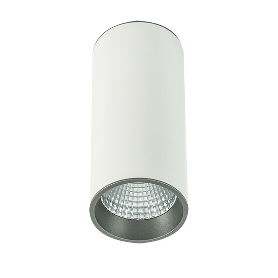 Луна за открит монтаж Moldes Big SLC7392/12W 3000K WH+GR Italux | Osvetlenieto.bg