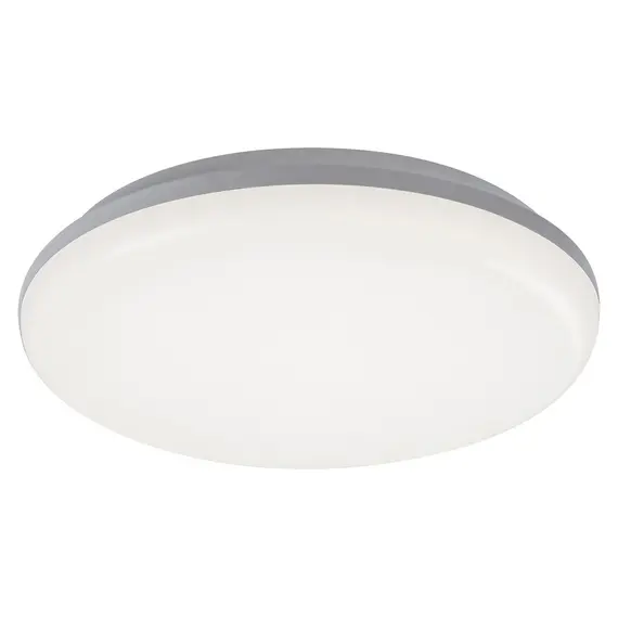 LED Външен плафон Eric 7979 Rabalux 24W 4000K IP64 | Osvetlenieto.bg